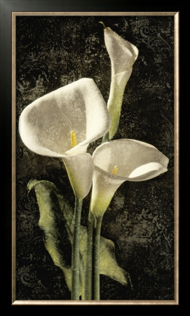 Callas I by John Seba Pricing Limited Edition Print image