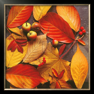First Fall V by Bill Philip Pricing Limited Edition Print image