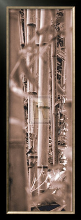 Bamboo Grove Iii by Douglas Yan Pricing Limited Edition Print image