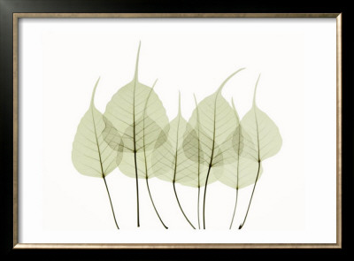 Woodlands I by Acee Pricing Limited Edition Print image