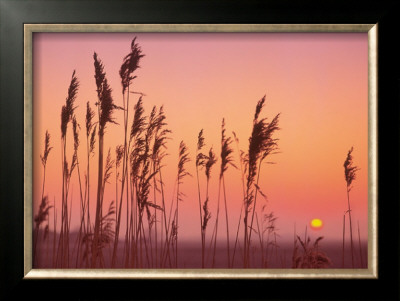 Fenland Sunrise by Rod Edwards Pricing Limited Edition Print image