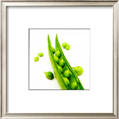Polaroid Vegetable Ii by Jean-François Dupuis Pricing Limited Edition Print image