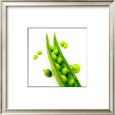 Polaroid Vegetable Ii by Jean-Francois Dupuis Pricing Limited Edition Print image