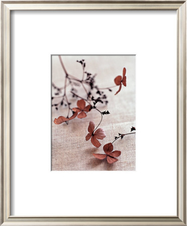 Everlasting by Lina Ricci Pricing Limited Edition Print image