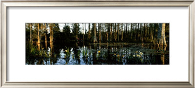 Cypress Gardens by Alain Le Toquin Pricing Limited Edition Print image