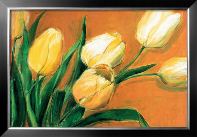 Tulipa Nova by Elisabeth Krobs Pricing Limited Edition Print image