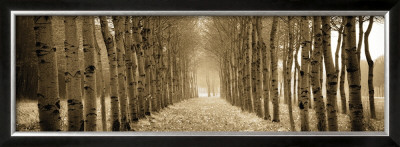 The Shimmering Forest by Heather Ross Pricing Limited Edition Print image