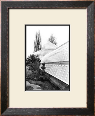 Conservatory Iv by Laura Denardo Pricing Limited Edition Print image