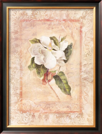 Magnolia I by Susan Davies Pricing Limited Edition Print image