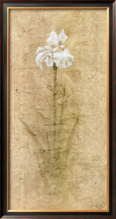 Iris I by B. J. Zhang Pricing Limited Edition Print image