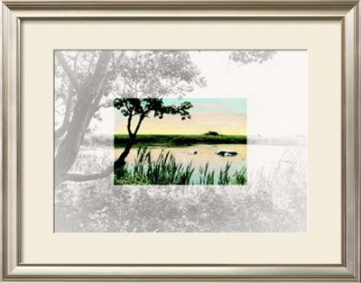 Branching Out by Allan Teger Pricing Limited Edition Print image