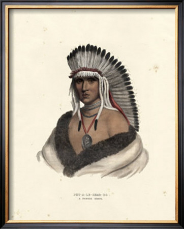 Pawnee Brave by Mckenney & Hall Pricing Limited Edition Print image