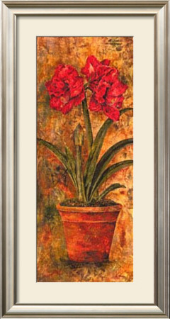 Liberty Amaryllis by Judy Shelby Pricing Limited Edition Print image