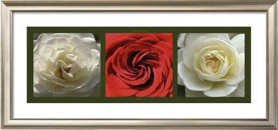 Roses Ii by Laurent Pinsard Pricing Limited Edition Print image