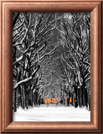 The Gates And Tree Path, Central Park by Igor Maloratsky Pricing Limited Edition Print image