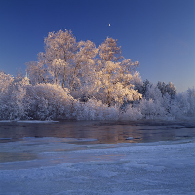 Winter Landscape by Lars Dahlstrom Pricing Limited Edition Print image