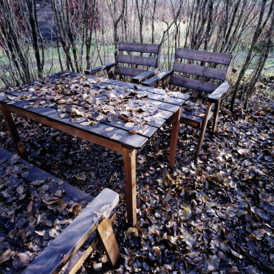A Table And Chairs In Autumn Garden by Lars Wallsten Pricing Limited Edition Print image