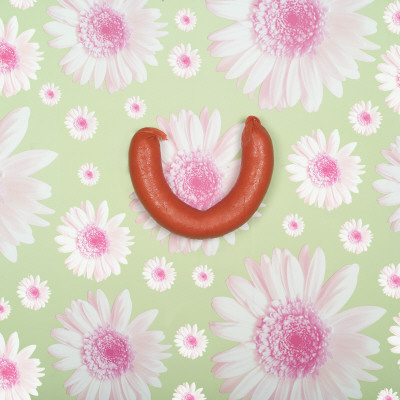 A Curled Sausage Against Flowery Background by Magnus Wahman Pricing Limited Edition Print image