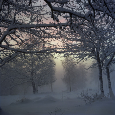 Winter In Sweden by Mikael Andersson Pricing Limited Edition Print image