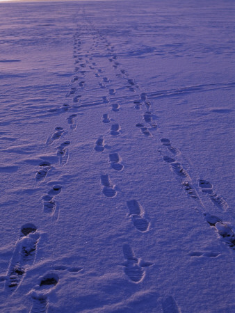 Footprints On Violet Snow by Bengt-Goran Carlsson Pricing Limited Edition Print image