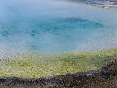 Detail Of Algae At Edge Of Water Of Rainbow Pool by Jeff Foott Pricing Limited Edition Print image
