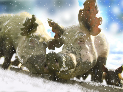 Hoarfrost On Pigs' Muzzles by Lars Dahlstrom Pricing Limited Edition Print image