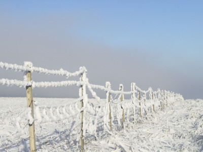 An Icy Fence In Winter Time, Iceland by Larus Karl Ingasson Pricing Limited Edition Print image