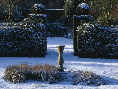 The Walled Garden Covered With Snow, Eastleach House, Gloucestershire - Sundial And Yew Hedging by Clive Nichols Pricing Limited Edition Print image