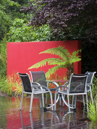 Decked Patio With Table And Chairs With Soft Tree Fern In Front Of Red Painted Wall by Clive Nichols Pricing Limited Edition Print image