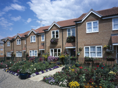 Row Of Modern Brick Terraced Houses With Front Garden, South Of England by Benedict Luxmoore Pricing Limited Edition Print image