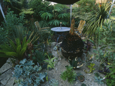 Raised Bed In Back Garden With Cycad Caudex, Macrozamia Moorei Nolina Longifolia And Cycas Revoluta by Clive Nichols Pricing Limited Edition Print image