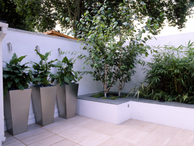 White Roof Terrace With Three Metal Containers Planted With Zantedeschia Aethiopica by Clive Nichols Pricing Limited Edition Print image