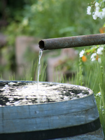 Traditional Water Butt For Collecting Rainwater by Clive Nichols Pricing Limited Edition Print image