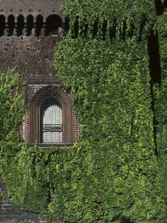 Castello Sforzesco (Sforza Castle), Milan, Italy - Detail Of Building Overgrown With Ivy by David Churchill Pricing Limited Edition Print image