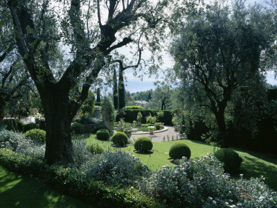 View Through Olive Trees To A Circular Basin On Terrace, La Casella, France by Clive Nichols Pricing Limited Edition Print image