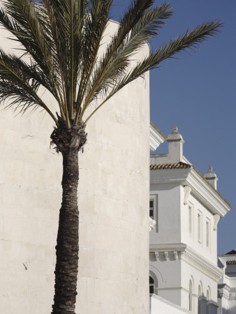 Escuela De Nautica (1963-70) With Palm Tree And Classical Facade In Background, Cadiz Spain by David Borland Pricing Limited Edition Print image