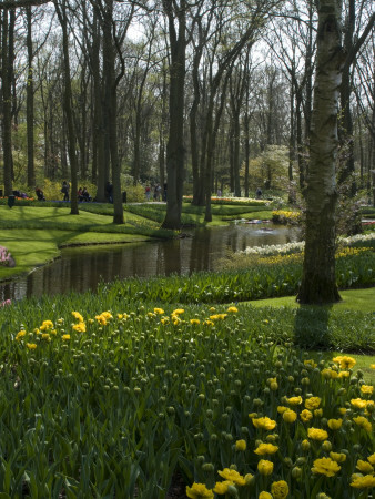 Keukenhof Gardens, Near Leiden by Natalie Tepper Pricing Limited Edition Print image