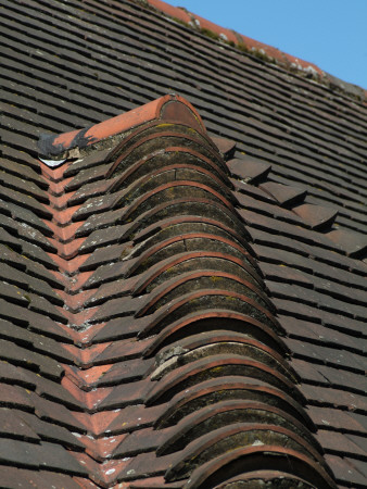 Backgrounds - Detail Of Roof And Hip Tiles by Natalie Tepper Pricing Limited Edition Print image