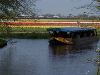 Tourist Boat Sailing Past The Flower Fields At Keukenhof Gardens, Near Leiden by Natalie Tepper Pricing Limited Edition Print image