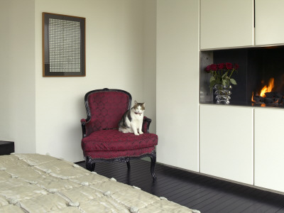 Refurbished House In Camden Town, Master Bedroom With Minimal Fireplace And Cat by Richard Bryant Pricing Limited Edition Print image