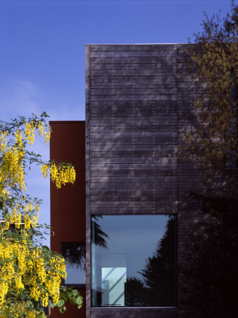 The Tall House Exterior Detail With Oak Cladding, Window And Yellow Flowering Laburnham Tree by Richard Bryant Pricing Limited Edition Print image