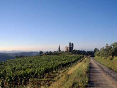 Colle Pinzuto, Chiesa, Siena by Eloise Patrick Pricing Limited Edition Print image