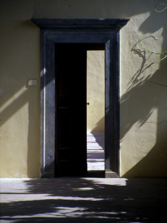 Blue Door With Vine by Eloise Patrick Pricing Limited Edition Print image