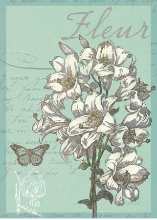Fleur Nouveau by Devon Ross Pricing Limited Edition Print image