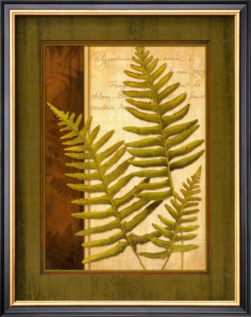 Fern Grotto Iii by Delphine Corbin Pricing Limited Edition Print image