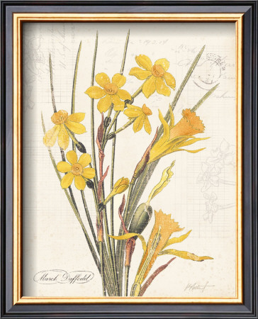 March Daffodil by Katie Pertiet Pricing Limited Edition Print image