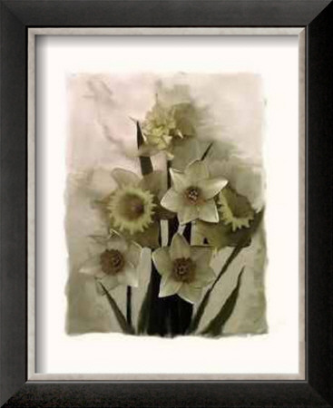 Daffodils Ii by Richard Sutton Pricing Limited Edition Print image