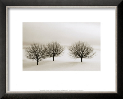 Snow Trees, New York by Dickens Pricing Limited Edition Print image