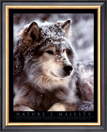Timber Wolf by John Pezzenti Jr Pricing Limited Edition Print image