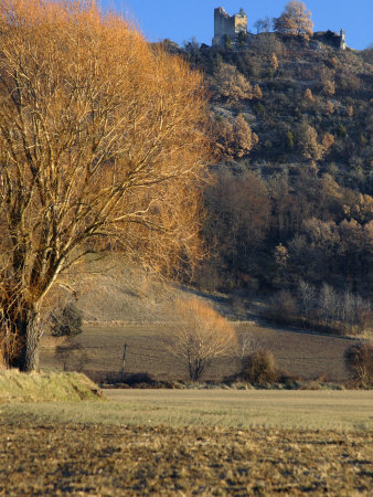 Winter Field And Tree In Afternoon Light, With A Hilltop Ruin by Stephen Sharnoff Pricing Limited Edition Print image